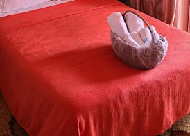 B&B Ma Maison 3