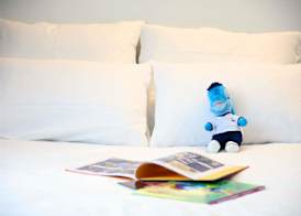 Novotel Lille Centre Grand Place 3