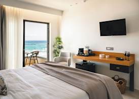 Batis Aero Beachfront Wellbeing Hotel 2