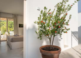 Tenuta DonnAnna Agriturismo&Glamping 5