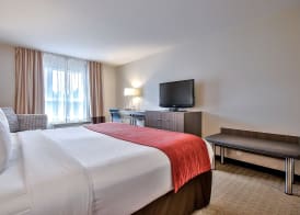 Comfort Inn & Suites South 4