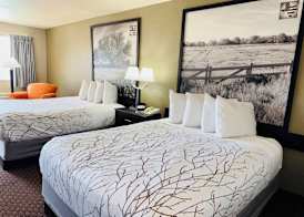 Hill Country Inn & Suites - New Braunfels / Gruene 4