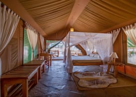 Kibo Safari Camp 4