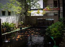Heritage Hotel Cameron Highlands 3