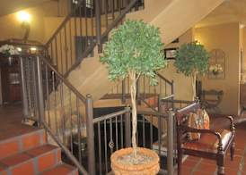 Dio Dell Amore Guest House 4