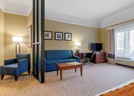 Comfort Suites Savannah North 5