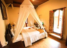 Kailash Bali 4