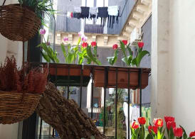 Bellini Apartment 3