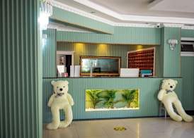 Sun Fire Beach Hotel 4