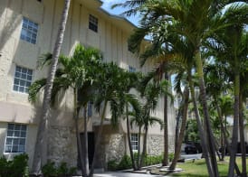 Coral Reef at Key Biscayne 2
