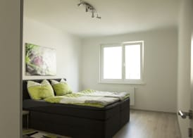 Viennaflats - Apartment Prater 3