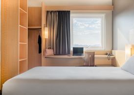 Ibis Chihuahua 3