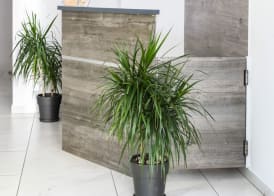 Iasonos Suites Athens 2