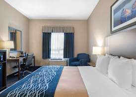 Comfort Inn & Suites 2