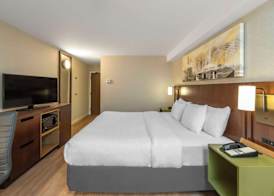 Comfort Inn South 4
