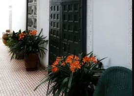 Riad Ifoulki 3