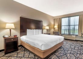 Best Western Plus Hobby Airport Inn & Suites 3