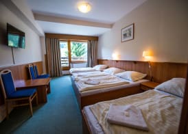 Parkhotel Harrachov 5