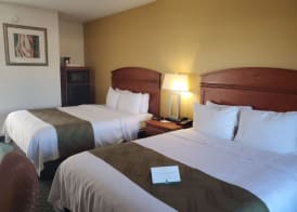 Quality Inn & Suites Northampton - Amherst 5