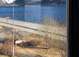 Jølster Lake View 3