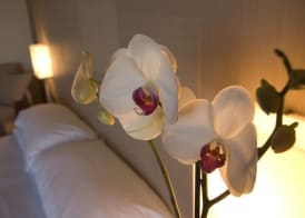 Abruzzo Marina Hotel - Family & Beach Resort 5