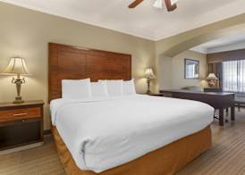 Best Western Plus Monica Royale Inn & Suites 5