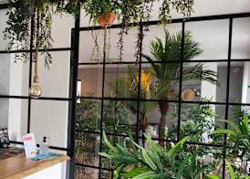 Marsuites 3