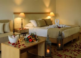 Aliter Suites 5