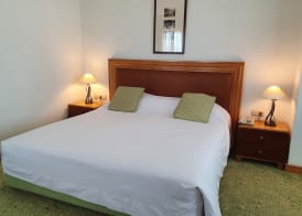 Les Oliviers Palace 4
