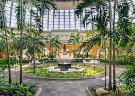 JOIA Paraiso by Iberostar - Adults Only All Inclusive Resort 5
