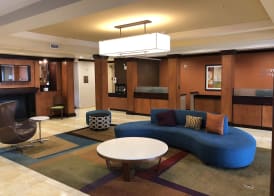 Fairfield Inn & Suites by Marriott Tampa Fairgrounds/Casino 2