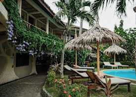 Garden of Eden Dive Resort 2