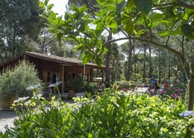 Camping Campo dei Fiori - Glamping4all 2