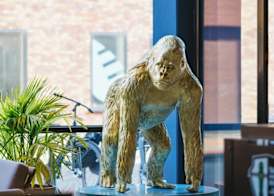 The Social Hub Groningen 5