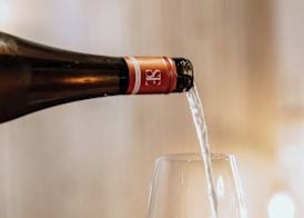 Landhotel zum Schwanen mit Restaurant Mona Liza 5