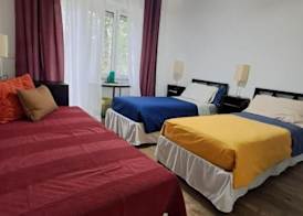 Ripe's FoRest Garden Guest House 4