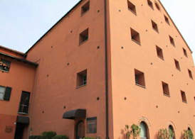 Lizard Hotel 5