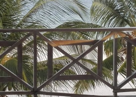 Life Resort St.Thomas Royal Palm 4