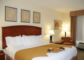 Holiday Inn Express & Suites DALLAS - GRAND PRAIRIE I-20 by IHG 4