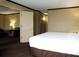 Holiday Inn CHICAGO OAKBROOK by IHG 5