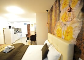 Decebal Residence Apartments 3
