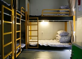 Dream Guesthouse 3