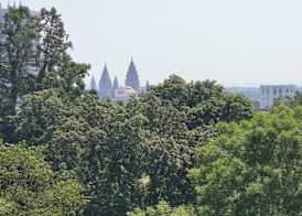 Best Western Hotel Mainz 5