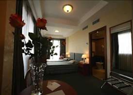 Hotel President Pomezia 3