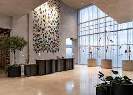 Hyatt Centric San José Escazú 4
