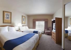 Holiday Inn Express & Suites MISSION-MCALLEN AREA by IHG 3