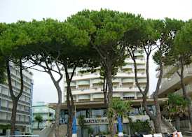 Hotel Ambasciatori Palace 5