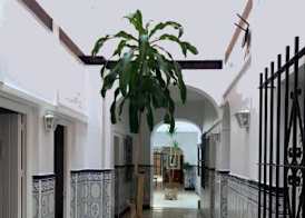 Sanvi Xerez Centro 3