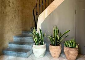 Porxos Garden 2