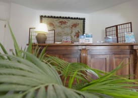 Le Bouganville Rooms Suites and Apartments 3